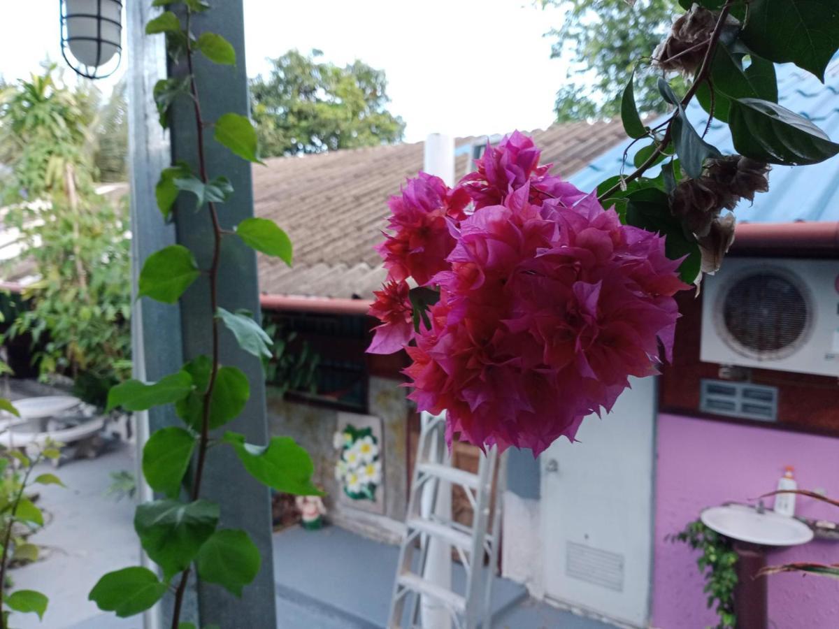 Comon Bungalow Haadchaophao Hatcsauphau Kültér fotó